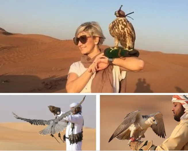 Falcon Show Dubai