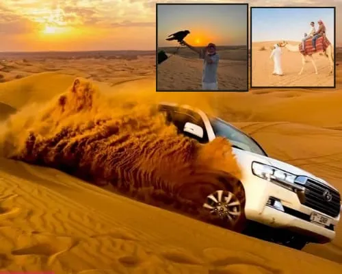 Vip Gold Desert Safari
