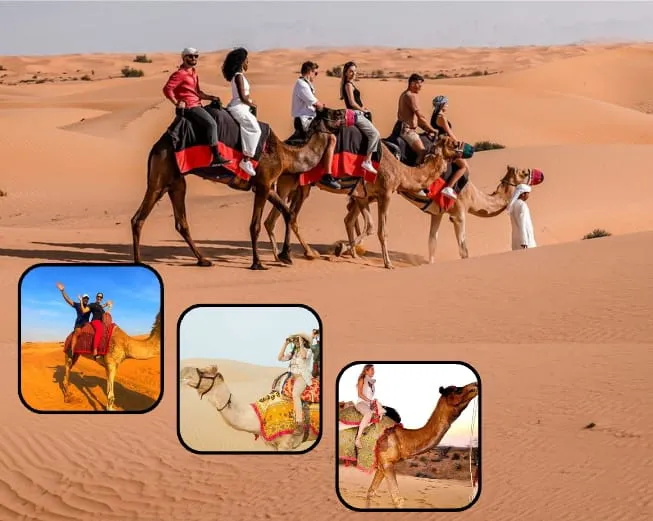 Camel riding dubai